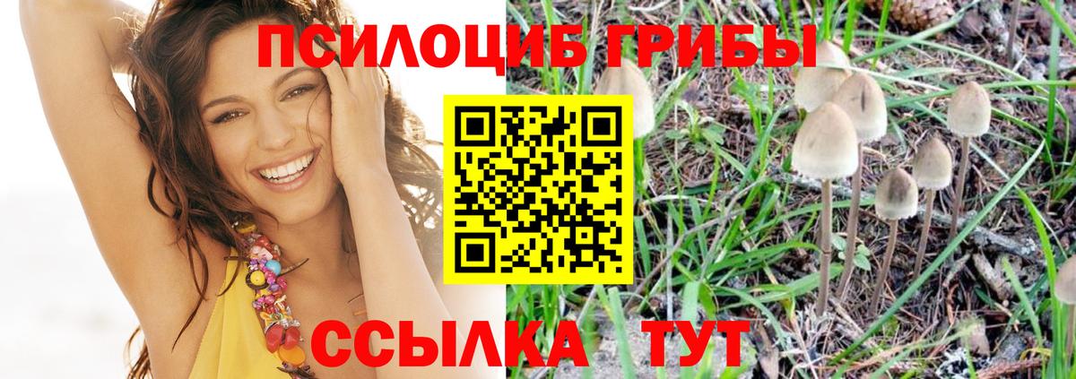 Биробиджан  Галлюциногенные грибы мухоморы  дарнет шоп  Вход с VPN 
